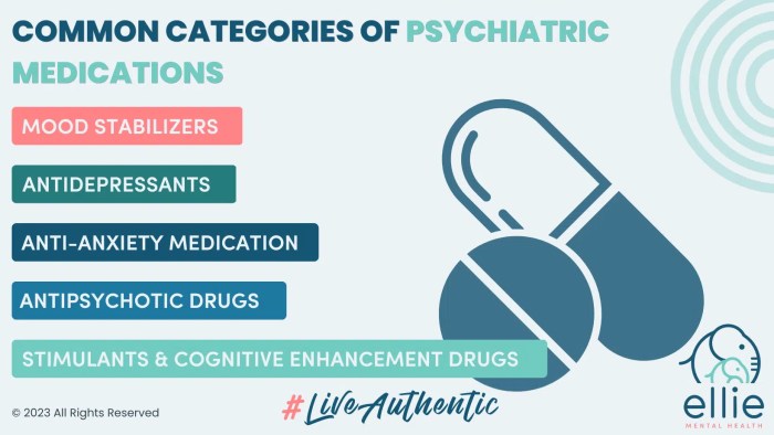 A Guide to Mental Health Medications | Ellie Mental Health